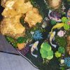 Handcrafted round coffee table for apartments, featuring Koi fish art, natural burl texture, and moss base